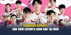 Cerberus Esports – Sân Chơi Esports Đỉnh Cao Tại M88