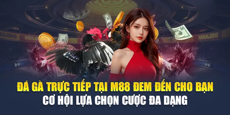 Đá Gà Trực Tiếp M88 - Những Cửa Cược Nảy Lửa Mỗi Ngày 2 Đá gà trực tiếp tại M88 đem đến cho bạn cơ hội lựa chọn cược đa dạng