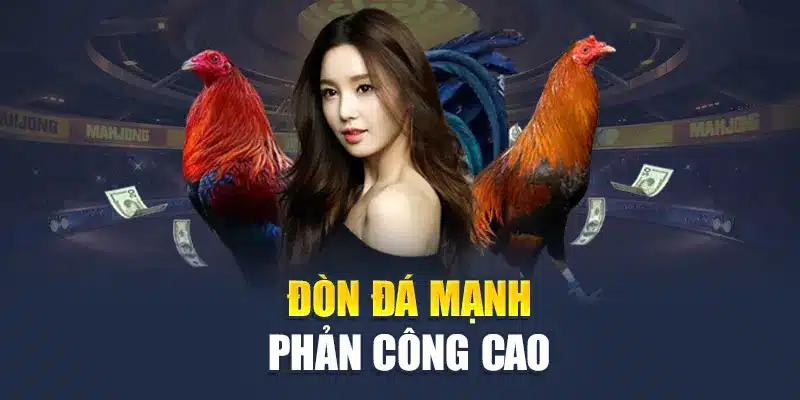 Đá Gà Cựa Dao M88 - Mãn Nhãn Với Những Trận Đấu Nảy Lửa 2 Đòn đá mạnh phản công cao
