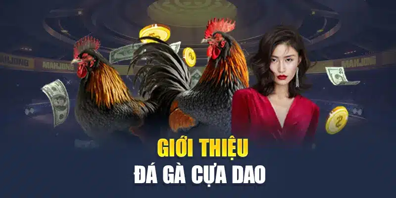 Đá Gà Cựa Dao M88 - Mãn Nhãn Với Những Trận Đấu Nảy Lửa 1 Giới thiệu đá gà cựa dao