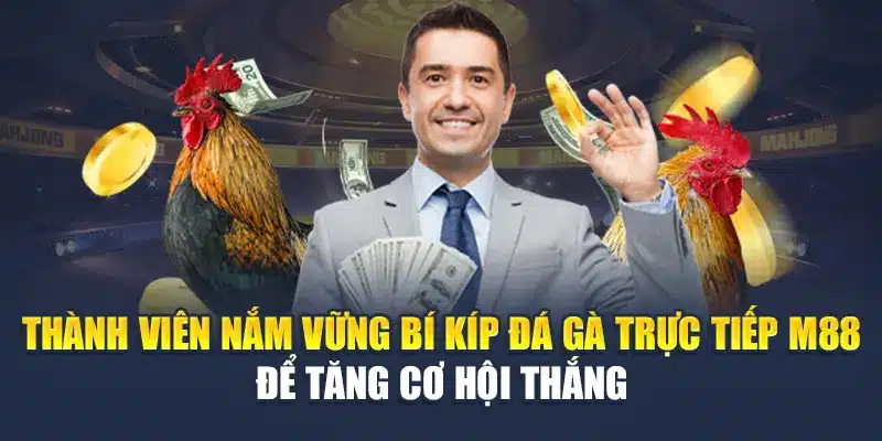 Đá Gà Trực Tiếp M88 - Những Cửa Cược Nảy Lửa Mỗi Ngày 3 Thành viên nắm vững bí kíp đá gà trực tiếp M88 để tăng cơ hội thắng
