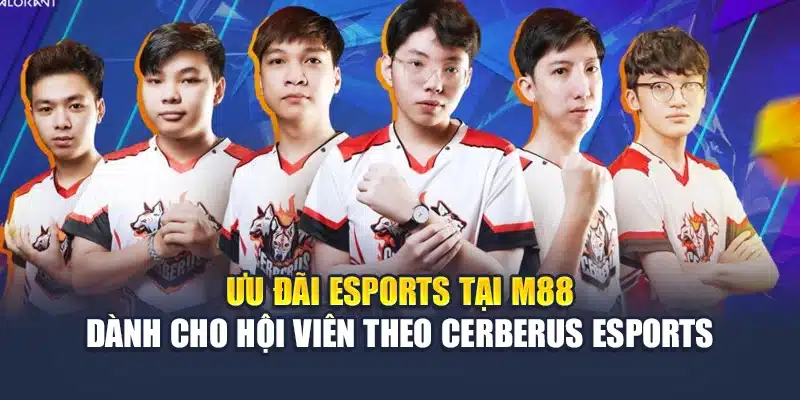Cerberus Esports – Sân Chơi Esports Đỉnh Cao Tại M88 3 Ưu đãi Esports tại M88 dành cho hội viên theo Cerberus Esports